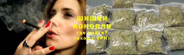 индика Остров