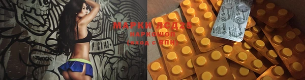 круглые Осинники