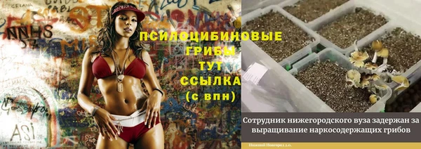 гашиш Осташков