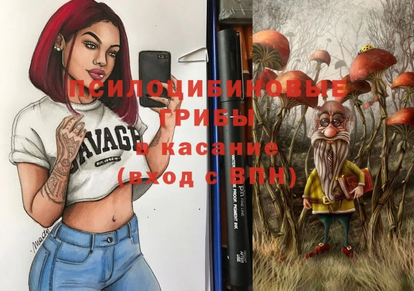 индика Остров