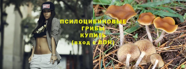 гашиш Осташков