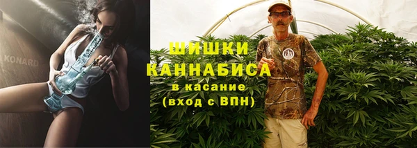 круглые Осинники