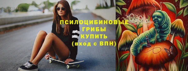 индика Остров